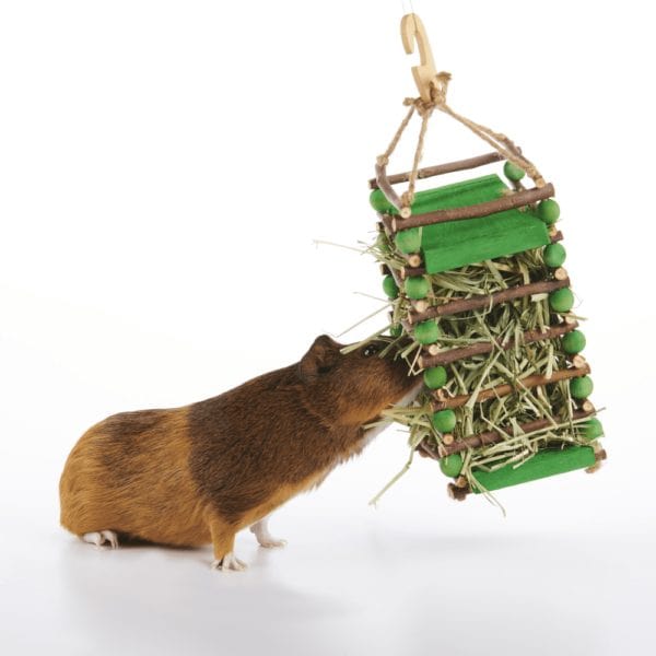 Oxbow Enriched Life Apple Stick Hay Feeder - High - Quality Pet Enrichment