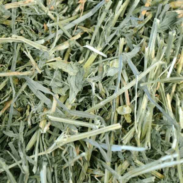 Oxbow Premium Alfalfa Hay for Small Pets, High in Fiber and Protein