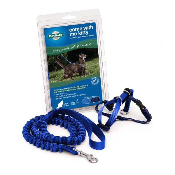 PetSafe Come With Me Cat Harness and Bungee Leash - An Ideal Walking Gear for Felines