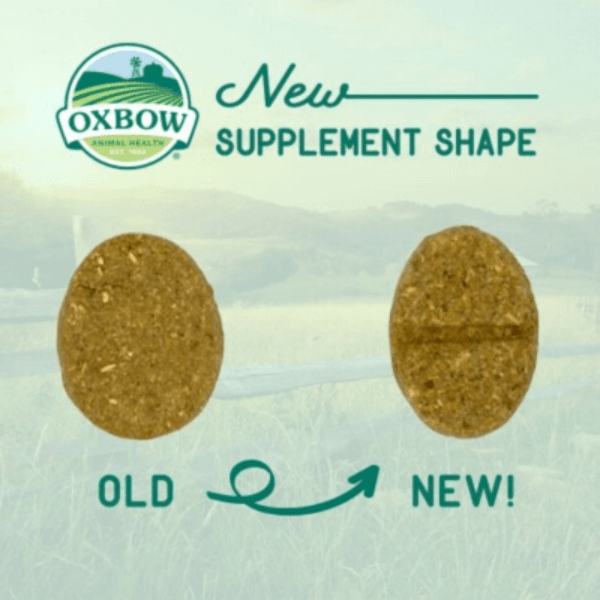 Oxbow's Premium Natural Science Supplement for Pet Urinary Health