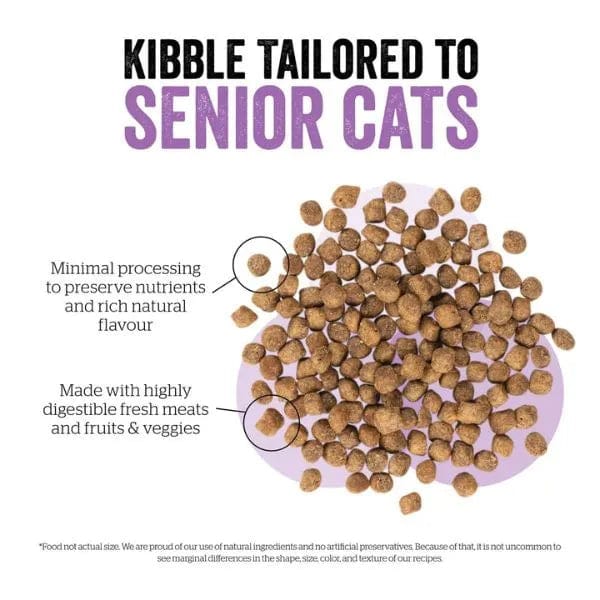Now Fresh Premium Senior Dry Cat Food with Turkey, Salmon, and Duck