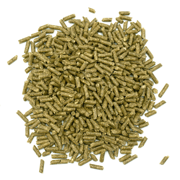 Oxbow Premium Senior Guinea Pig Nutrition Food
