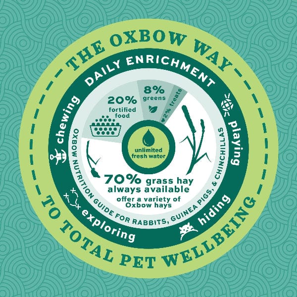 Oxbow Forage Wise Adult Guinea Pig Food - Nutritious Blend for Foraging Instincts