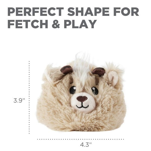 Outward Hound Reversi-Balls Interactive 3-in-1 Reversible Dog Fetch Toy