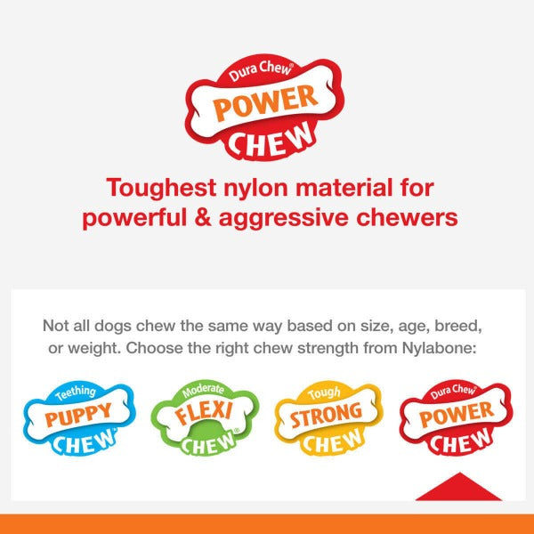 Nylabone Durable Power Chew Dog Toy in Lobster Shape