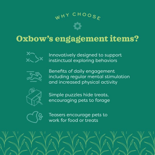Oxbow Enriched Life Garden-Themed Digging Box for Small Pets