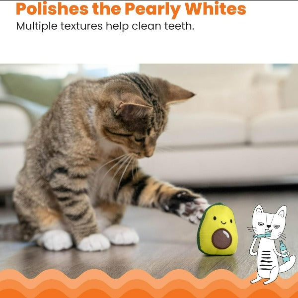 Petstages Adorable Lil' Avocato Dental Cat Chew Toy for Feline Fun