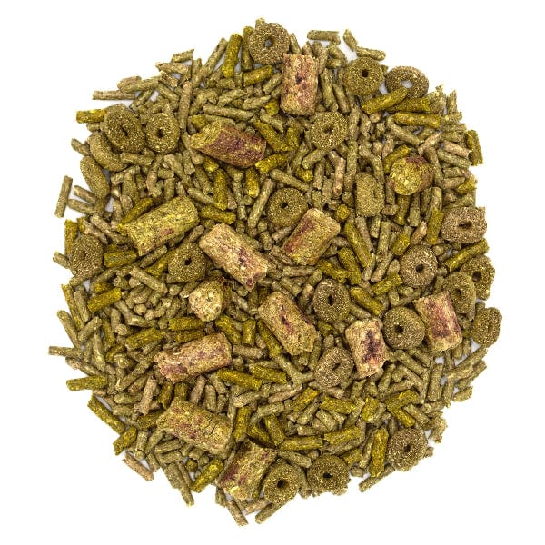 Oxbow High - Quality Forage Wise Adult Rabbit Feed for Optimal Health
