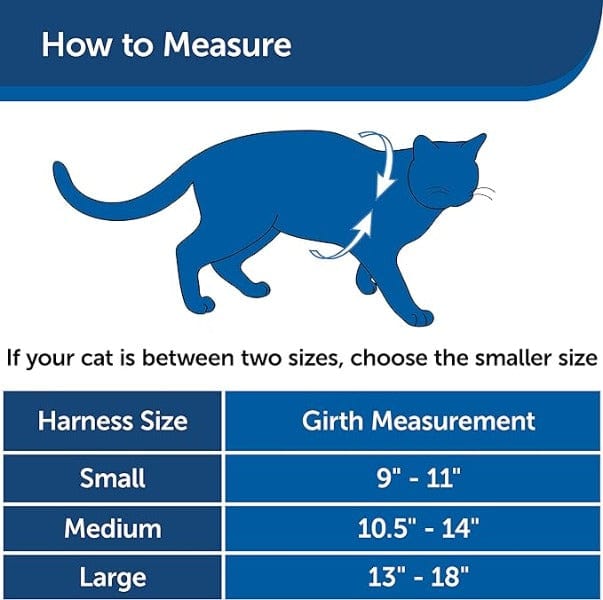 PetSafe Come With Me Cat Harness and Bungee Leash - An Ideal Walking Gear for Felines