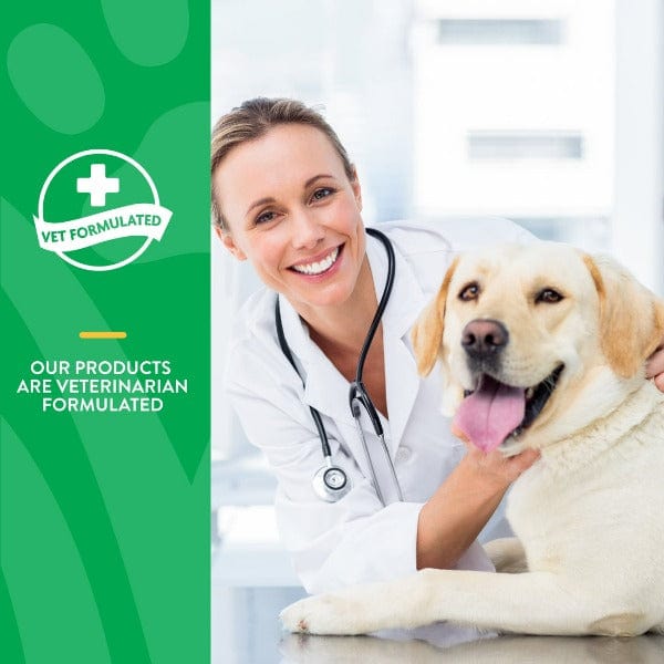 NaturVet Digestive Support Soft Chews with Enzymes, Prebiotics & Probiotics for Dogs
