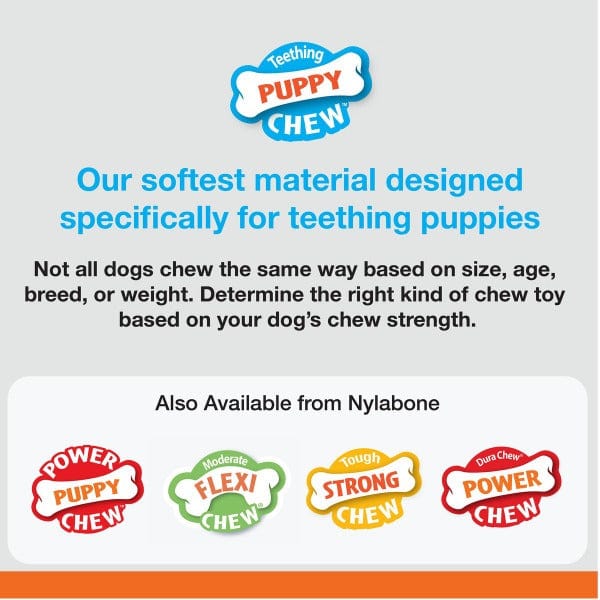 Nylabone Puppy Teething Chew Toy with Double - Action and Bacon Flavor