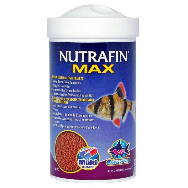 Nutrafin Max High - Quality Medium Floating Tropical Fish Pellets