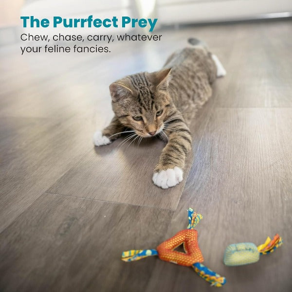 Petstages Catnip-Filled Dental Health Chew Toys for Cats of All Ages
