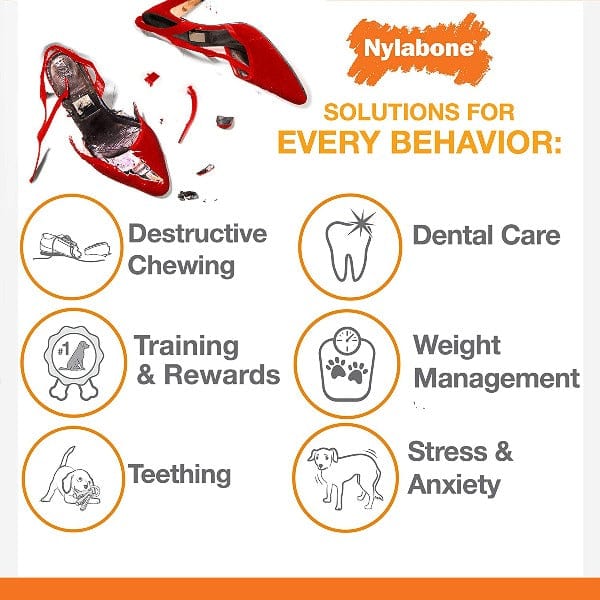 Nylabone Combo Pack: Dental Chew and Flexi Bone Dog Chew Toys for Moderate Chewers