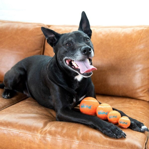 Outward Hound Premium Squeaky Tennis Ballz Dog Toy Set