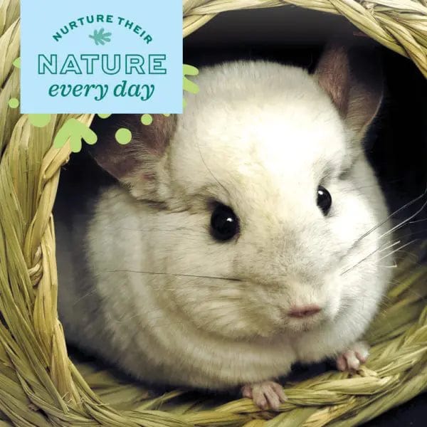 Oxbow Enriched Life - Safe and Fun Hideaway Hive for Small Pets
