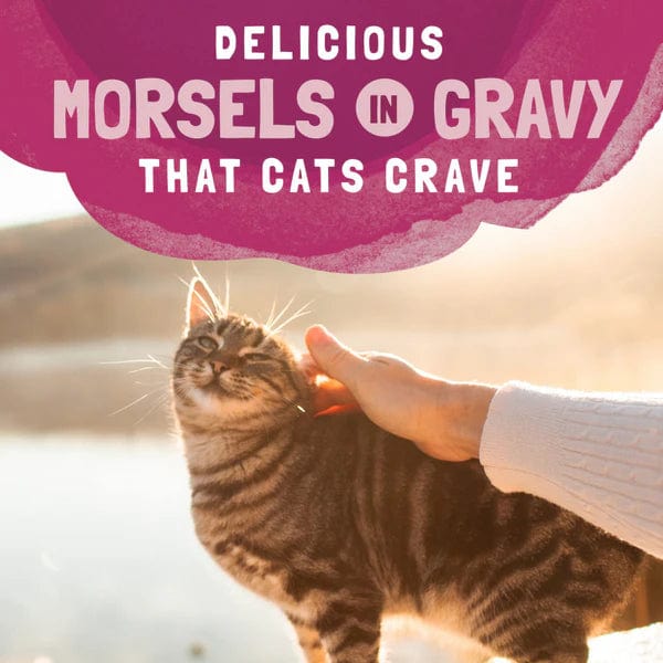 Natural Balance Platefulls Soft Cat Food Pouches: Turkey, Salmon & Chicken Recipe in Gravy