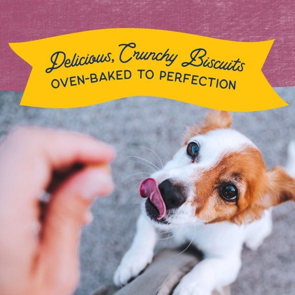 Natural Balance Oven - Baked Crunchy Venison Dog Biscuits, Ideal Small - Breed Recipe, 8 - ounce Package
