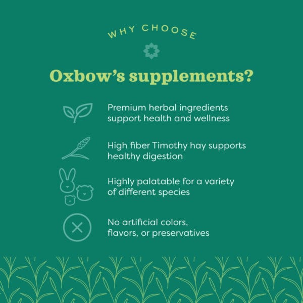Oxbow Natural Science High-Fiber Daily Multi-Vitamin Supplement for Pets
