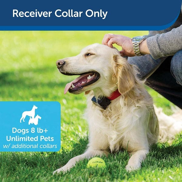 PetSafe Add - on Receiver Collar for Stubborn Dogs