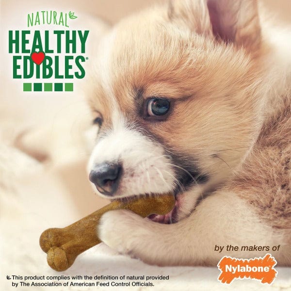 Nylabone Petite Puppy Chews with Healthy Lamb & Apple Flavour