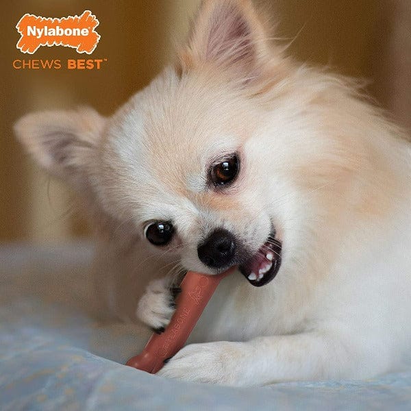 Nylabone Durable DuraChew Bacon-Flavored Dog Bone for Aggressive Chewers