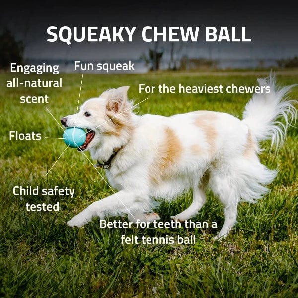 Playology Interactive Squeaky Chew Ball Toy for Dogs