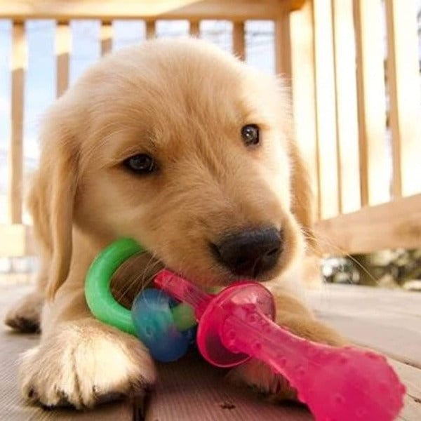 Nylabone Puppy Teething Relief Pacifier Chew Toy