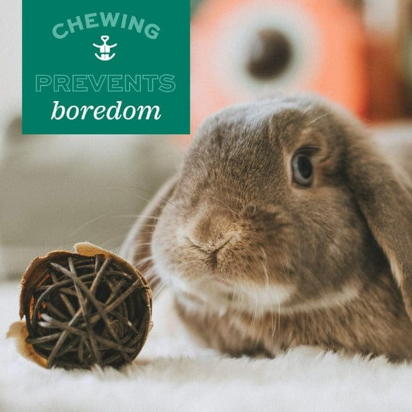 Oxbow Enriched Life Celebration Pom Pom - Ideal Pet Toy for Special Occasions