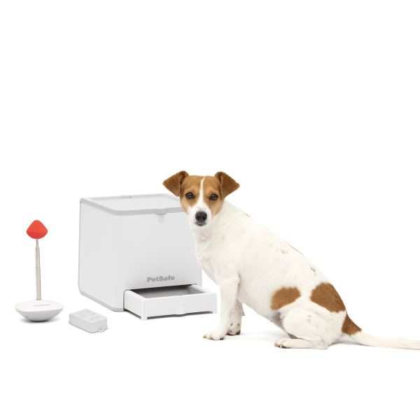 PetSafe Remote Reward Dog Training System - Teach & Treat Trainer