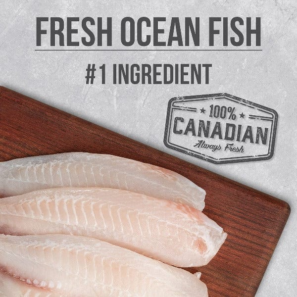 Nutrience Infusion Premium Quality Dry Dog Food for Healthy Adult Dogs with Ocean Fish Recipe