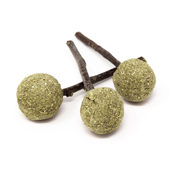 Oxbow Enriched Life - Timothy Hay and Apple Stick Chew Treats for Small Pets (Timmy Pops)