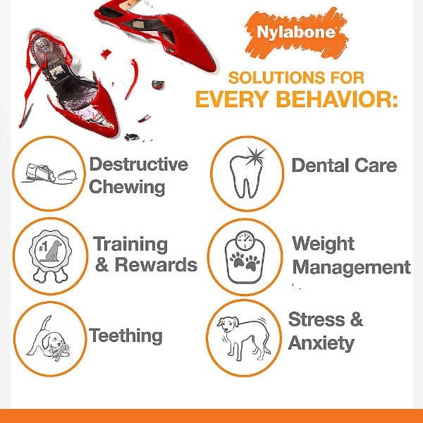 Nylabone Durable DuraChew Bacon-Flavored Dog Bone for Aggressive Chewers