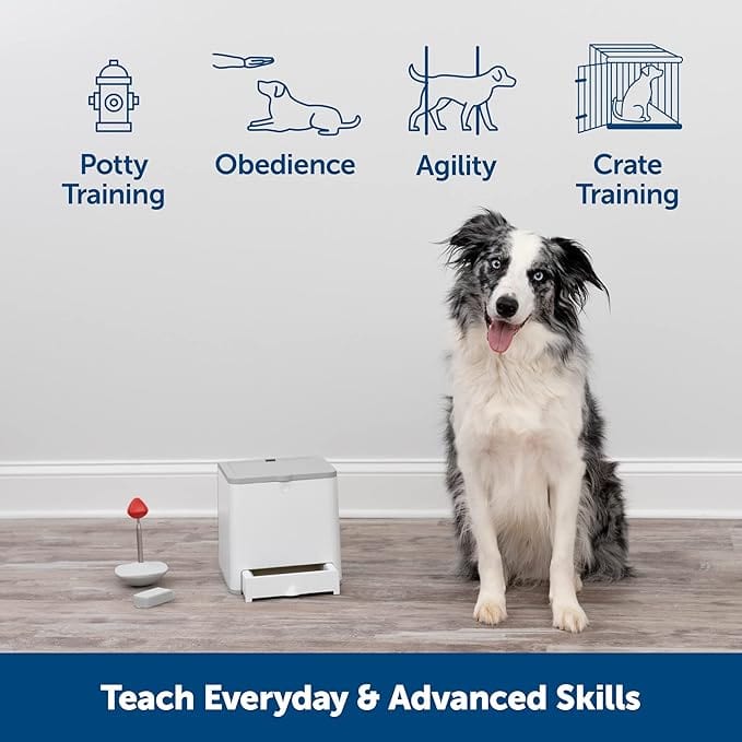PetSafe Remote Reward Dog Training System - Teach & Treat Trainer