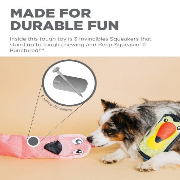 Outward Hound Durable Fire Biterz Tropical Dog Fetch Toys