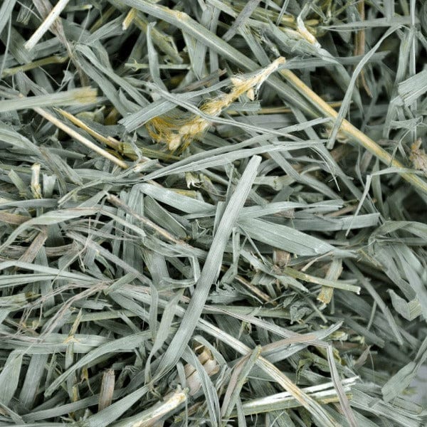 Oxbow Certified Organic Meadow Hay for Small Pets