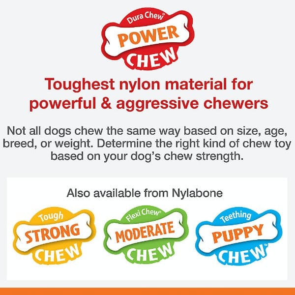 Nylabone Durable DuraChew Bacon-Flavored Dog Bone for Aggressive Chewers