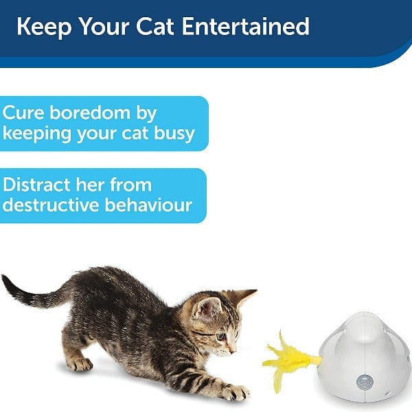 PetSafe Interactive Electronic Cat Toy with Peek - a - Bird Feature