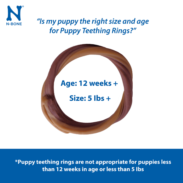 N-Bone Puppy Chew Teething Rings with Delicious Salmon Flavor