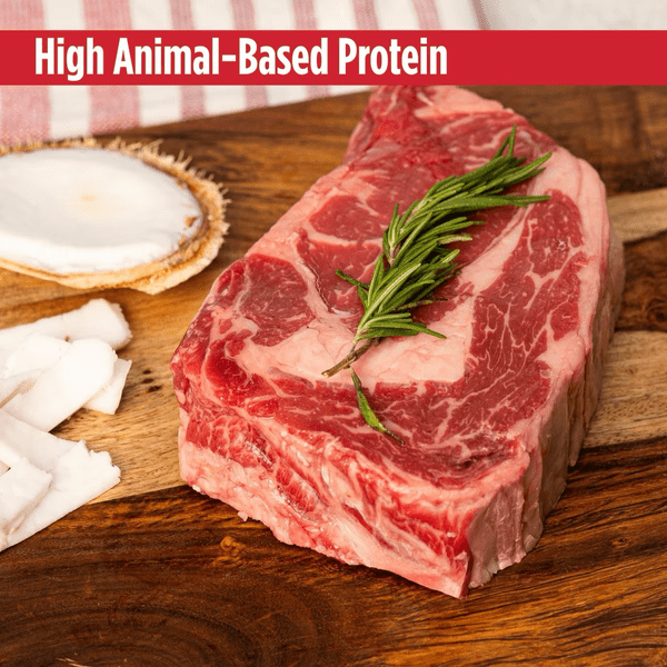 Nulo Freestyle Grain - Free Beef & Coconut Jerky Strips Dog Treats for Nutritious Training