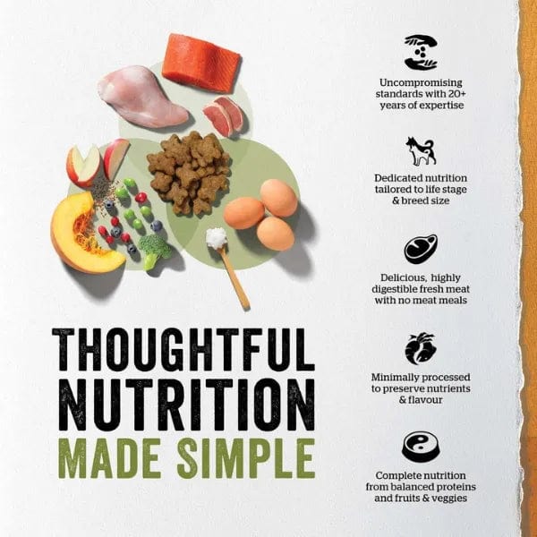 Now Fresh Premium Small Breed Senior Dry Dog Food with Turkey, Salmon, and Duck Recipe