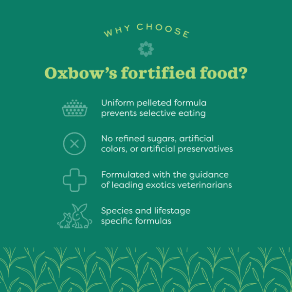 Oxbow Premium Senior Guinea Pig Nutrition Food