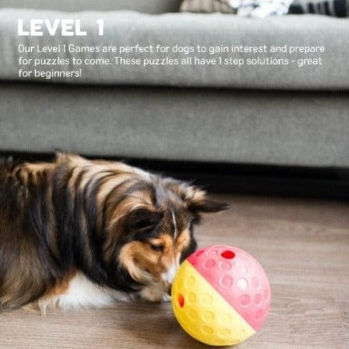 Outward Hound's Colorful Red and Yellow Treat - Dispensing Tumble Ball for Dogs
