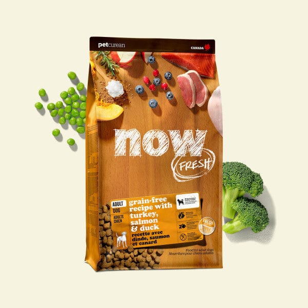 Now Fresh Premium Adult Dry Dog Food with a Blend of Turkey, Salmon, and Duck