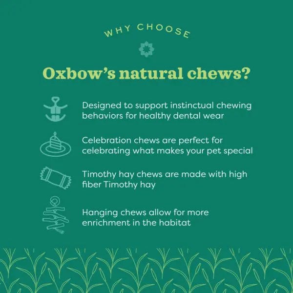 Oxbow Enriched Life - All - Natural Dangly Treat Party Pack for Small Pets
