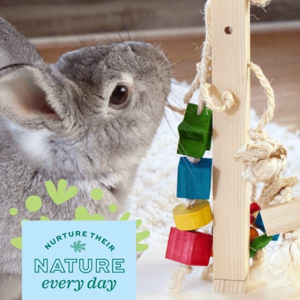 Oxbow Enriched Life - Interactive Play Table for Pets
