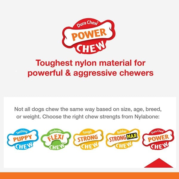 Nylabone Durable Textured Chicken-Flavored Dog Chew Bone