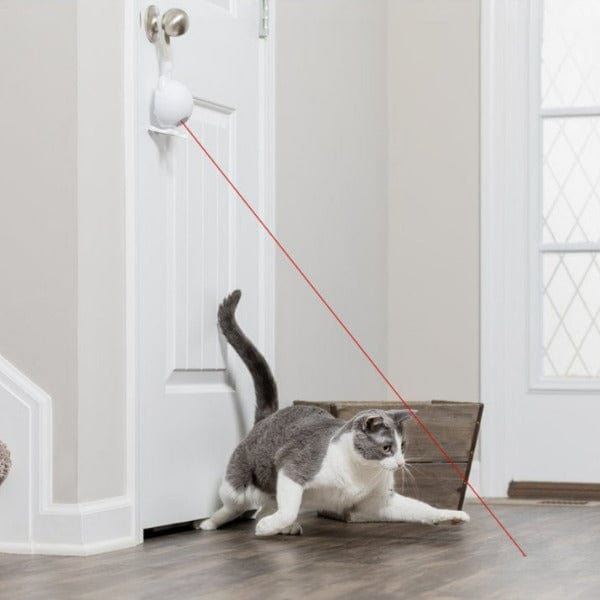 PetSafe Interactive Dancing Dot Laser Toy for Active Cats