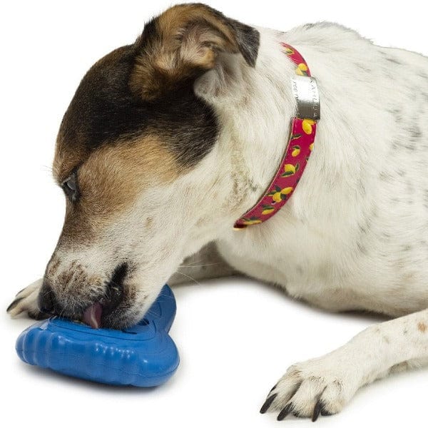 PetSafe Freezable Chilly Penguin Dispensing Dog Toy for Slow - Feed Fun