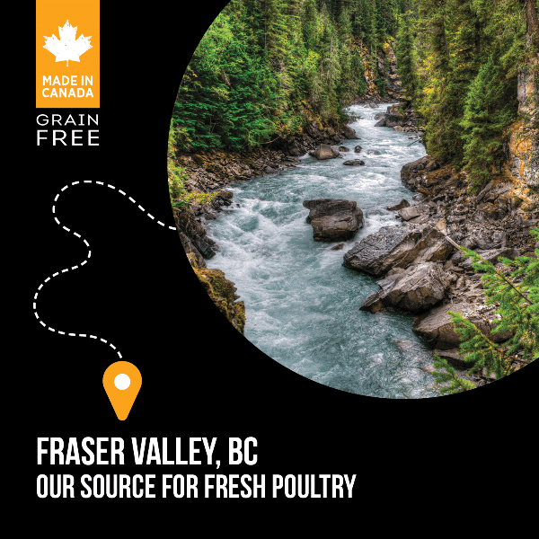 Nutrience SubZero Fraser Valley Premium High - Protein Dry Dog Food